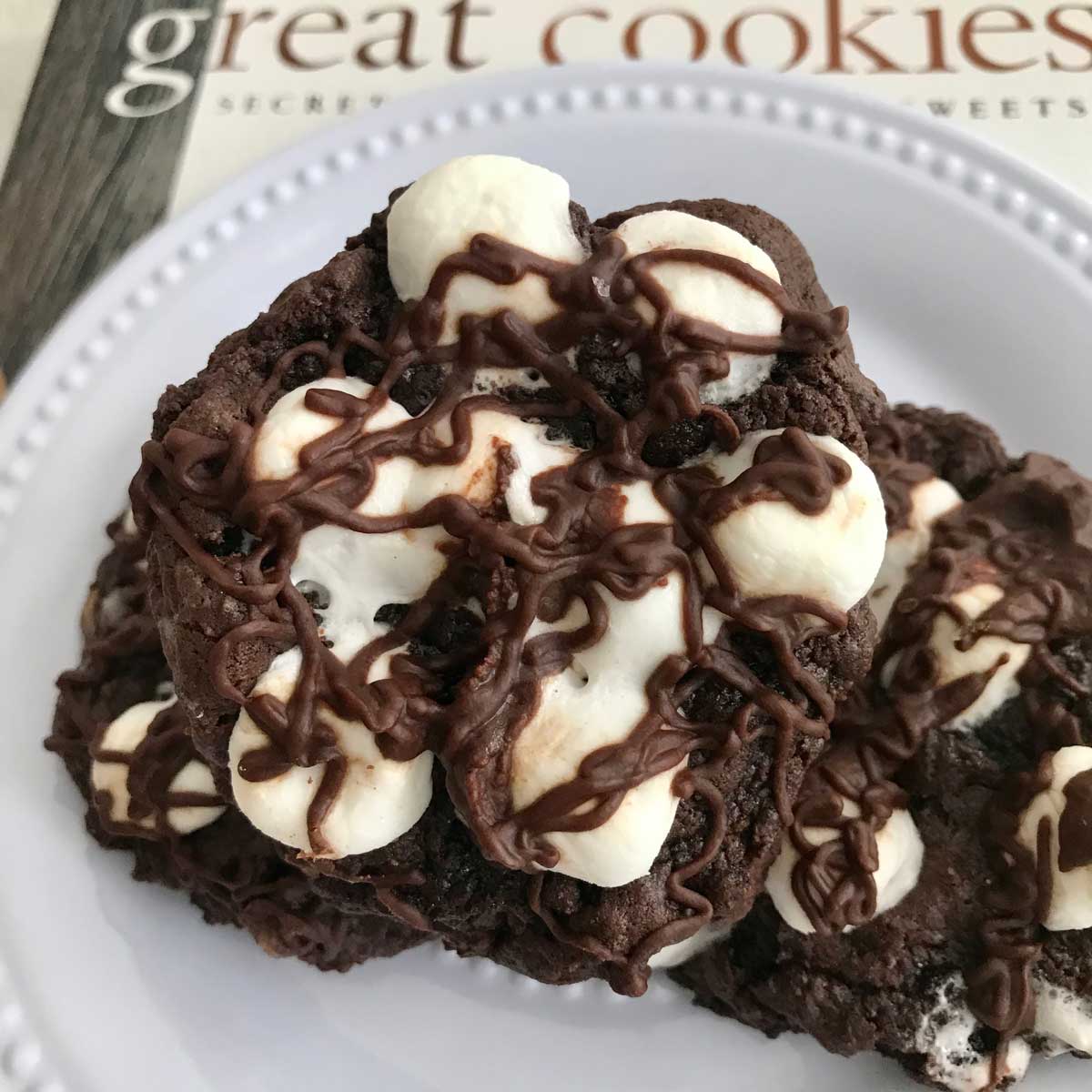 rocky road cookies - Article 2